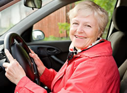 Florida Driving School